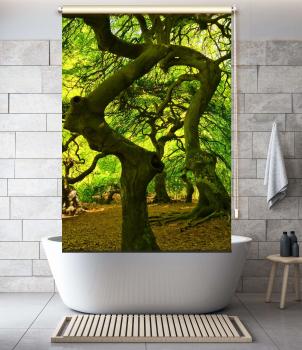 Extartiqe Duschrollo - Zauberbaum